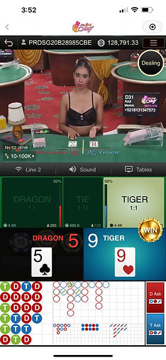 Sexy-Dragon-Tiger