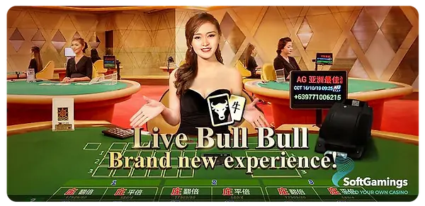 live-bull-bull